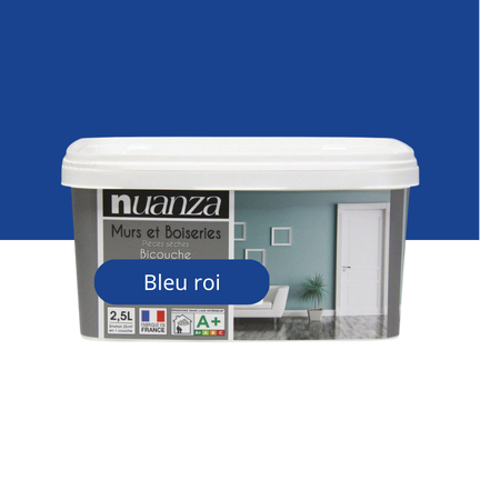 Nuanza Satin Bicouche Bleu Roi 2,5L